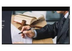 Boost Focus & Energy with Brain Food That Really Works