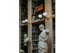 Boost Focus & Energy with Brain Food That Really Works